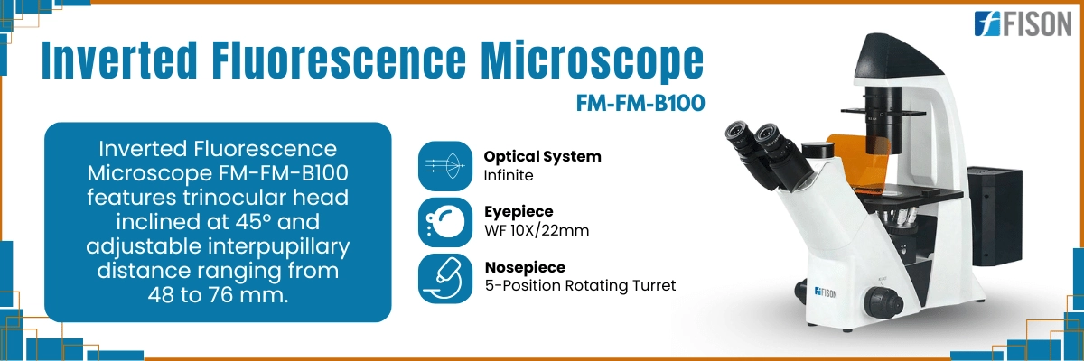 Inverted Fluorescence Microscope FM-FM-B100