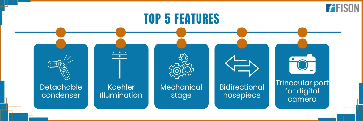 Inverted Fluorescence Microscope FM-FM-B100