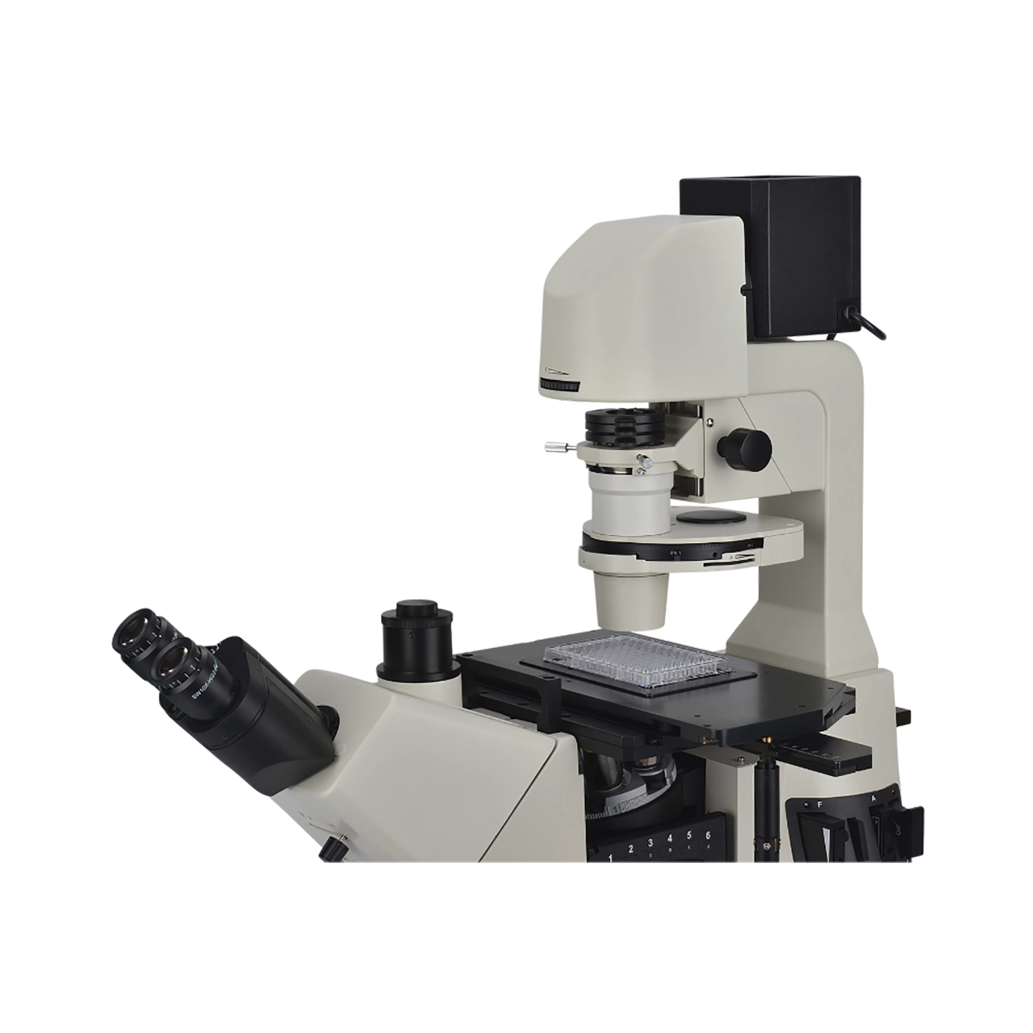 Inverted Fluorescence Microscope FM-FM-B101