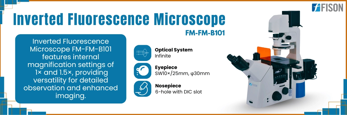 Inverted Fluorescence Microscope FM-FM-B101