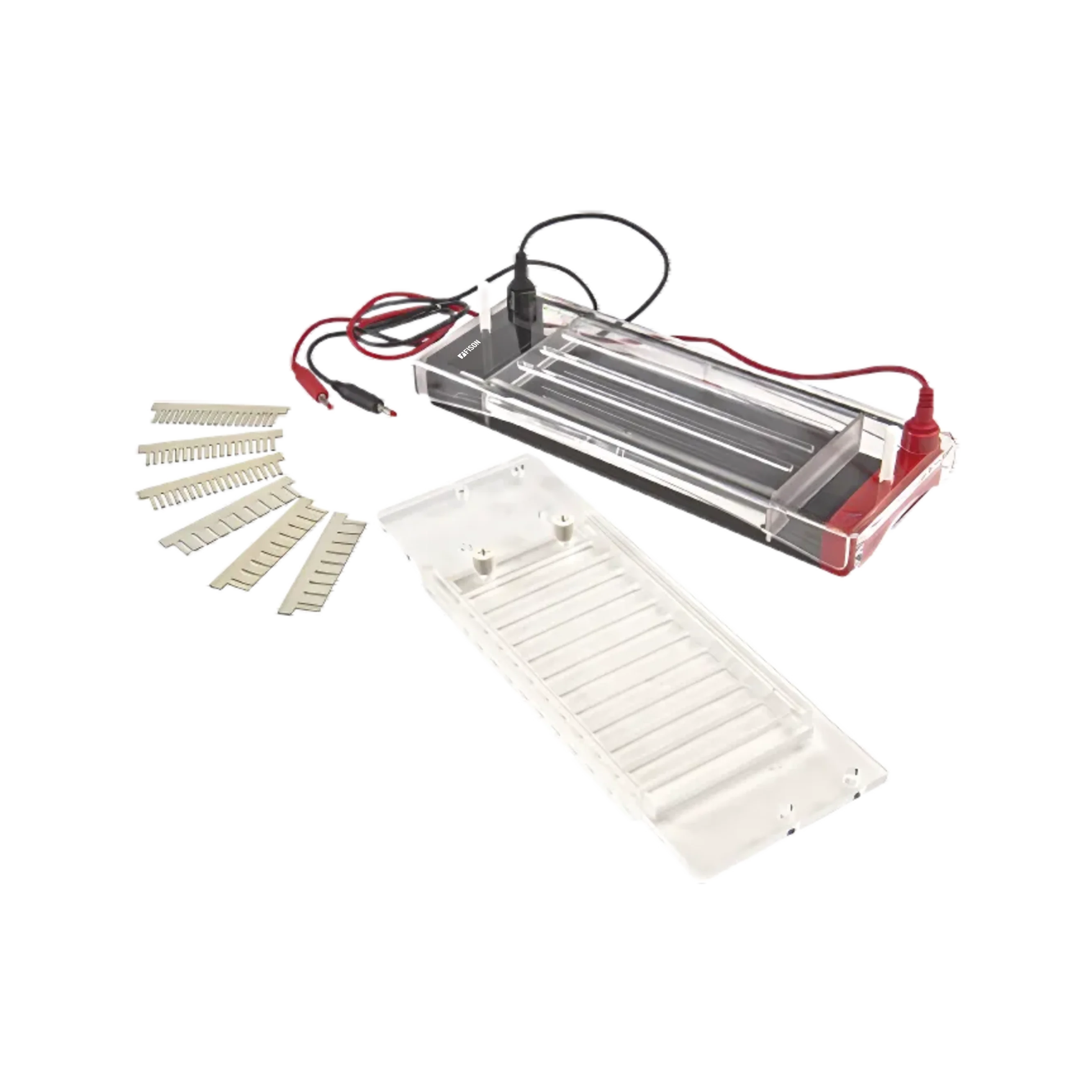 Horizontal Electrophoresis System FM-HES-B100