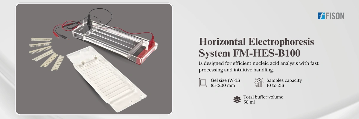 Horizontal Electrophoresis System FM-HES-B100