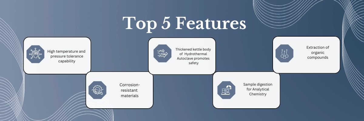 Hydrothermal Autoclave FM-HTA-A101