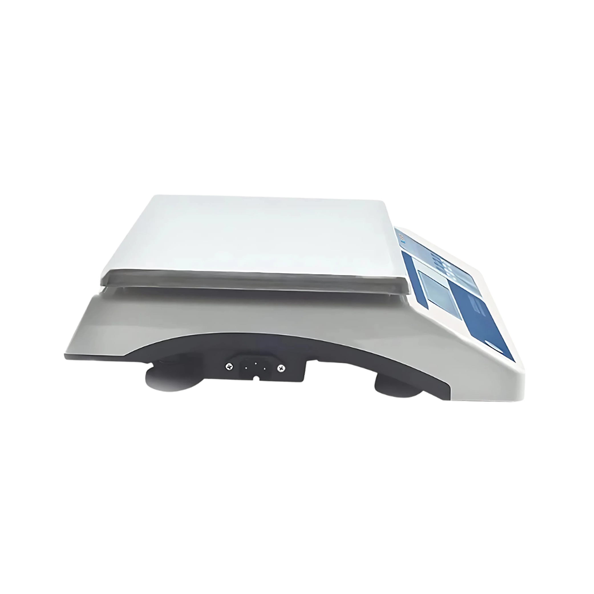 Industrial Scale Balance FM-ISB-A200