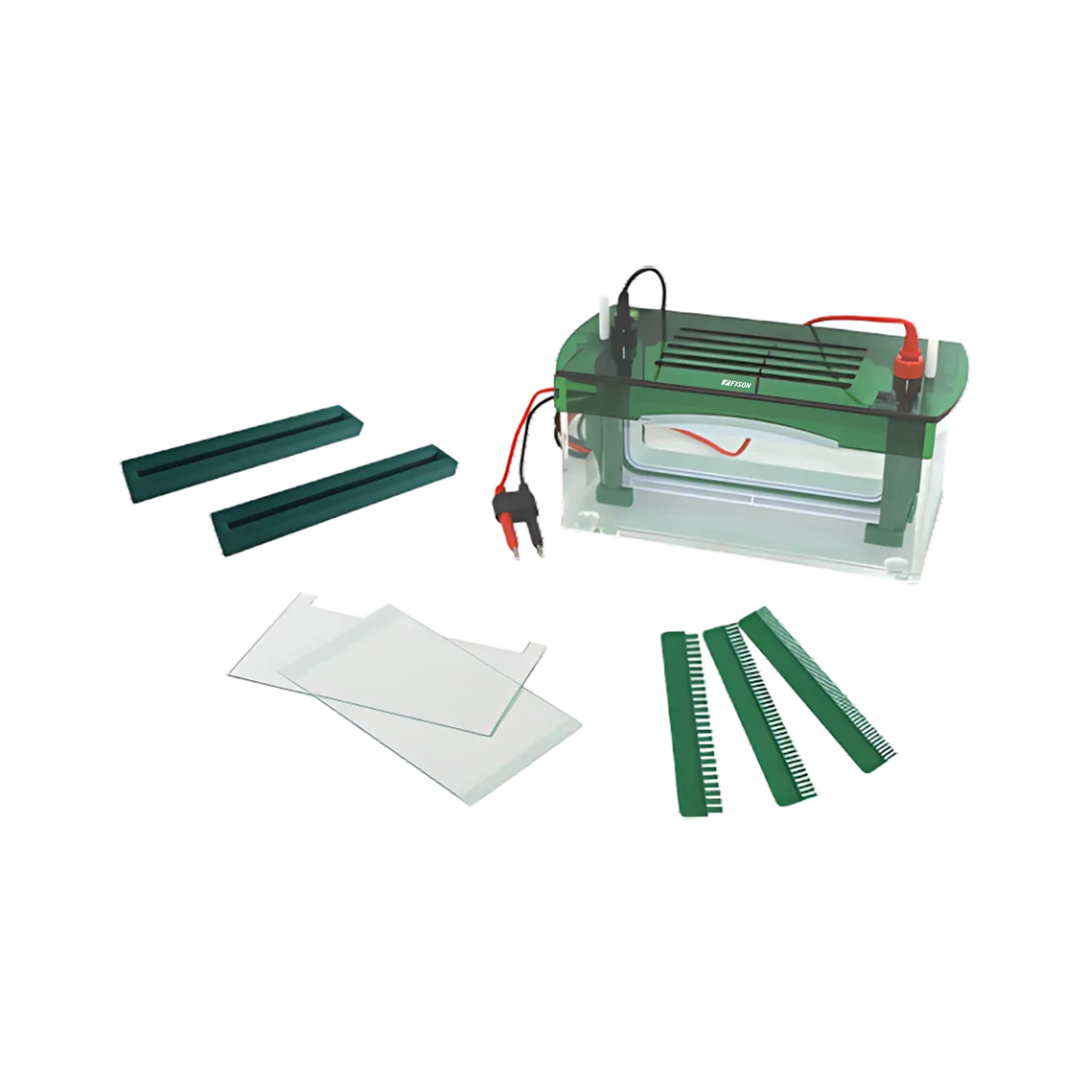 Vertical Electrophoresis System FM-VES-A105